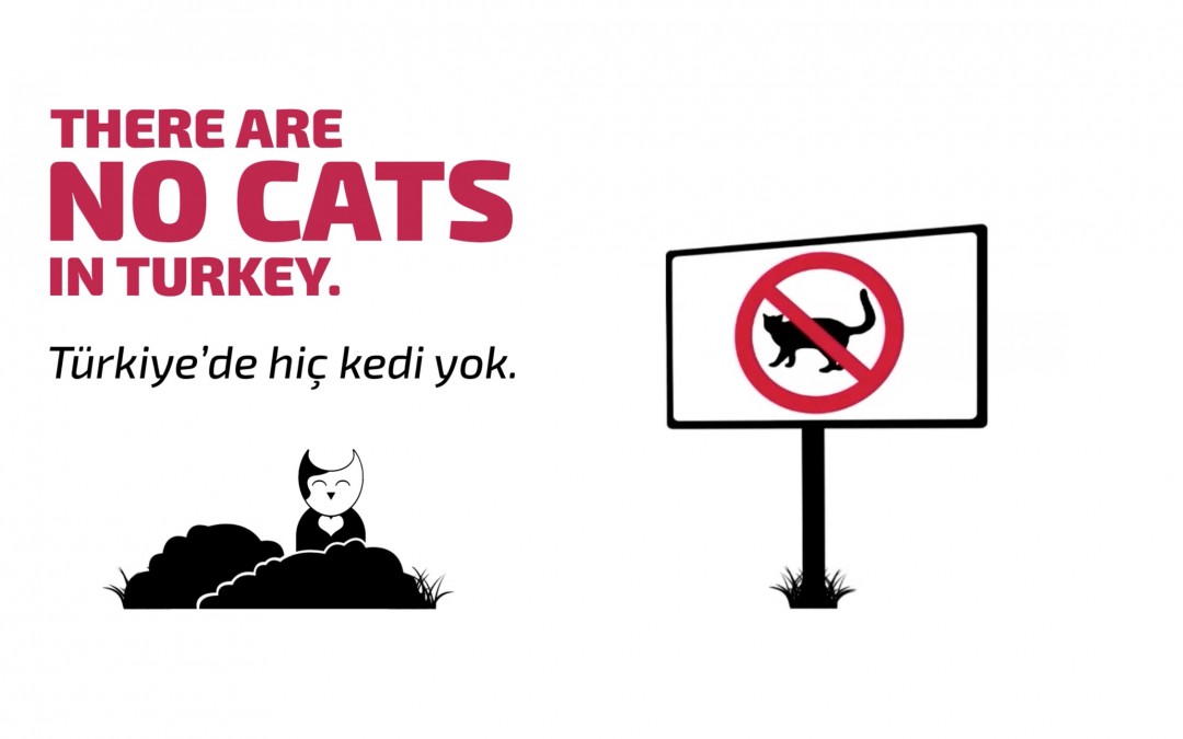 Introduction to the Turkish Language: There Are No Cats in Turkey