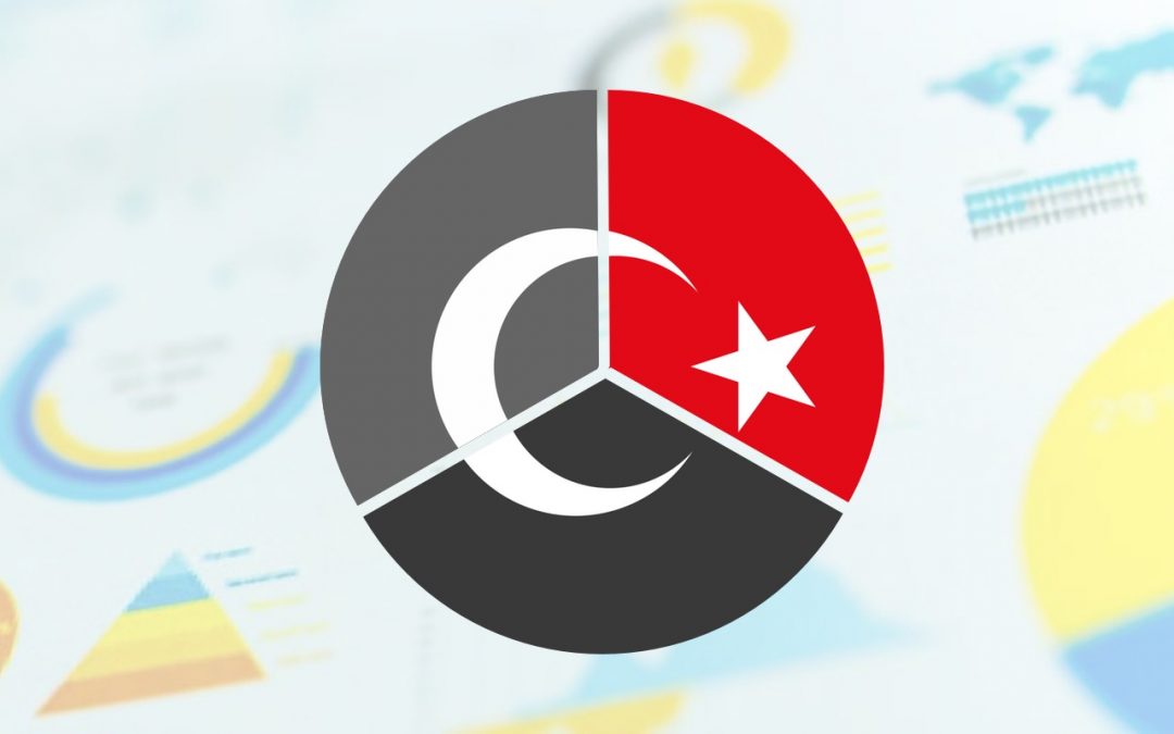 Poll: Turkish Politics and Turkish Language Learning