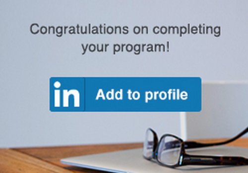 linkedIn_language_badge