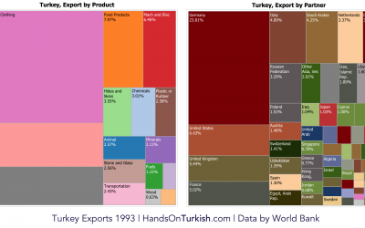 Turkey’s Diversified Economy in the last 20 Years