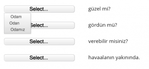 Preview turkish grammar exercise